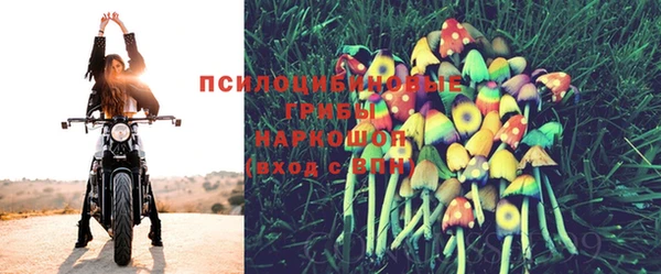 ешки Михайловка