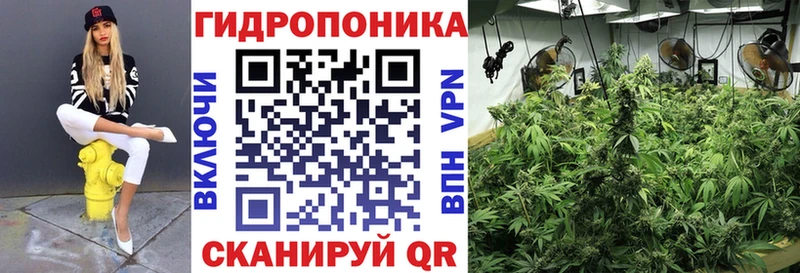 Шишки марихуана план  дарнет шоп  OMG вход  Губкин 